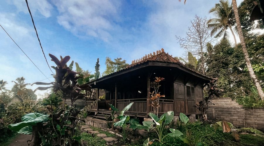 WhatsApp Image 2025-10-21 at 4.18.52 PM (1)