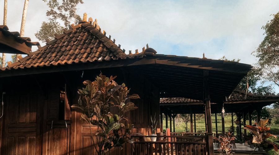 WhatsApp Image 2025-10-21 at 4.18.52 PM (2)