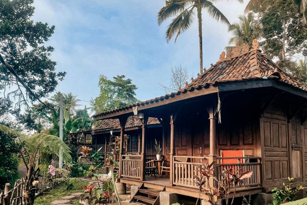 WhatsApp Image 2025-10-21 at 4.18.52 PM