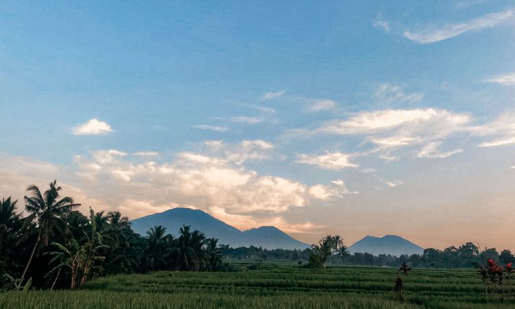 WhatsApp Image 2025-10-21 at 4.28.43 PM (5)