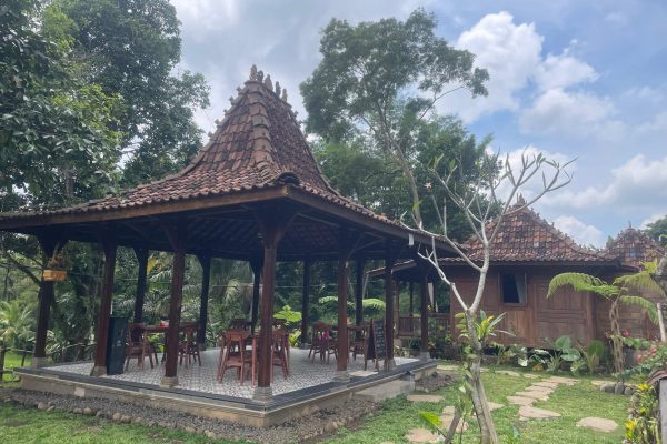 WhatsApp Image 2025-10-26 at 11.50.02 AM