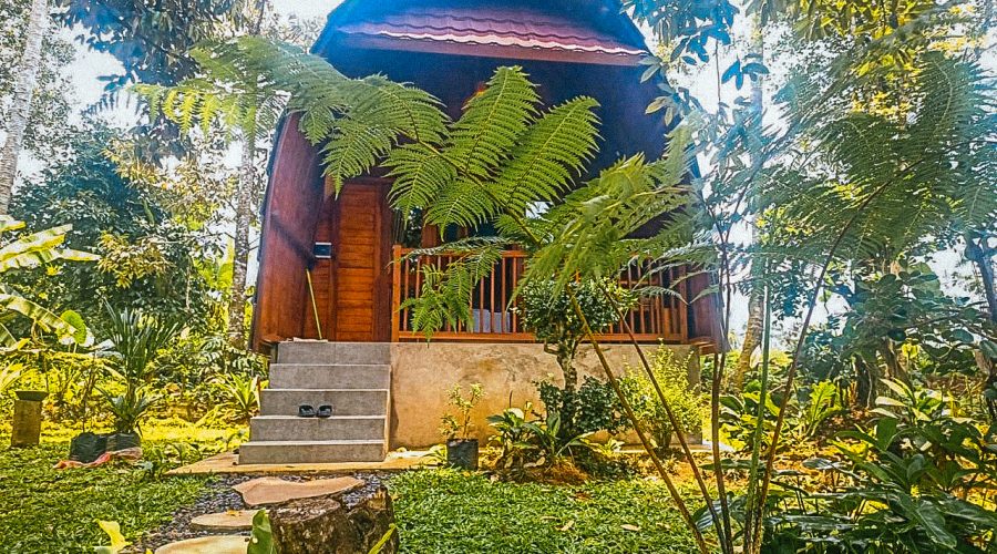 WhatsApp Image 2025-10-26 at 11.51.49 AM