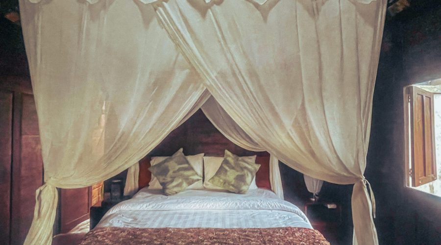 WhatsApp Image 2025-11-06 at 6.33.28 AM