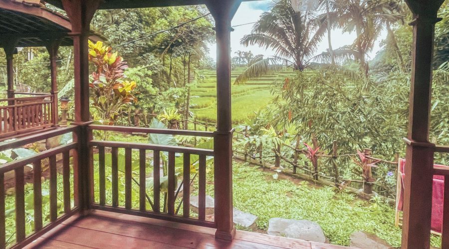 WhatsApp Image 2025-11-06 at 6.33.40 AM